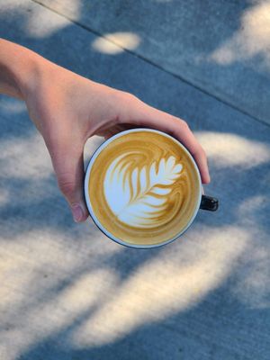  at Beatific Coffee Roasters in Lovell