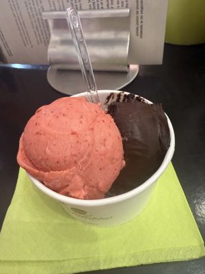 Delicious 😍  at Gelato Fresco Italiano in Kefalonia