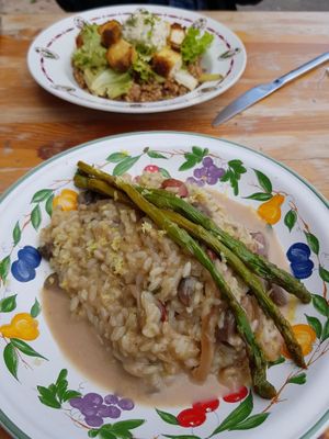 Riz de Camargue crémeux, courgettes au romarin, pleurotes sautées, "parmesan" et asperges at Mariposas in Marseille
