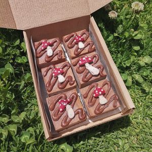  at Gurú Verde in Urubamba