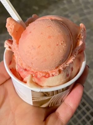 Vegan  at Casa del Gelato in Caorle