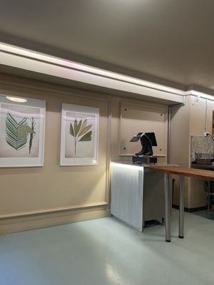 Clean, clear, Danish style    at Vital Foods in Copenhagen