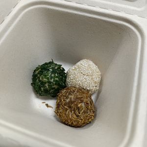  at Herbivoriste in Dijon