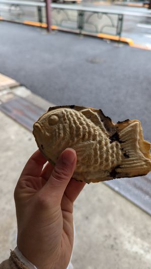  at Nezu no Taiyaki - 根津のたいやき in Tokyo