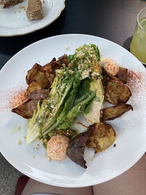   at Hohenheim & Söhne in Frankfurt