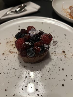   at Hohenheim & Söhne in Frankfurt