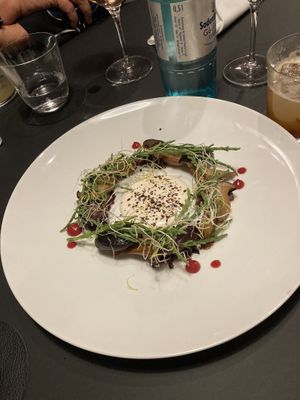   at Hohenheim & Söhne in Frankfurt