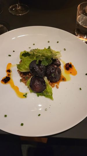  at Hohenheim & Söhne in Frankfurt