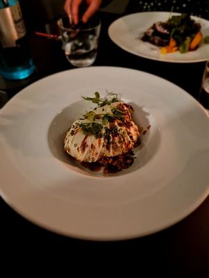   at Hohenheim & Söhne in Frankfurt