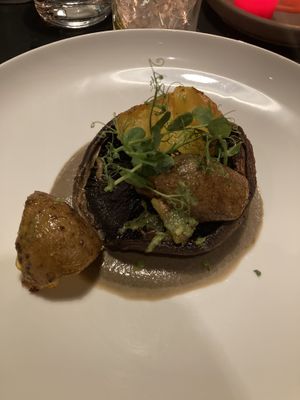   at Hohenheim & Söhne in Frankfurt