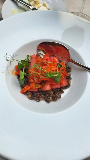  at Hohenheim & Söhne in Frankfurt