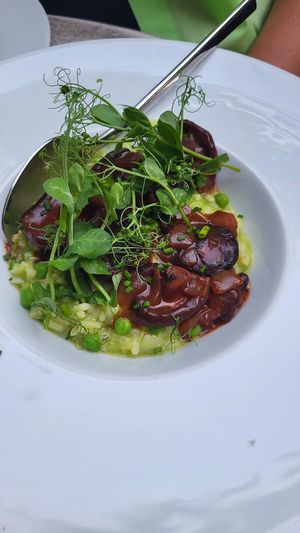  at Hohenheim & Söhne in Frankfurt