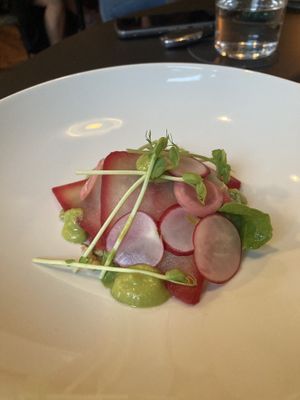   at Hohenheim & Söhne in Frankfurt