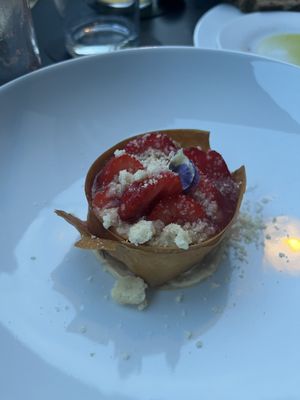   at Hohenheim & Söhne in Frankfurt