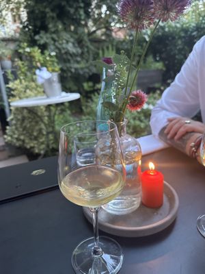   at Hohenheim & Söhne in Frankfurt