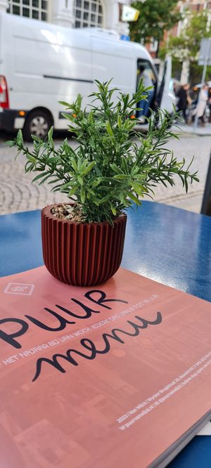  at Van Wijck in Maastricht