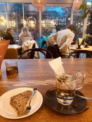 Speciale hortus thee met korenbloemen en huisgemaakt vegan dadeltaartje  at Hortus Grand Cafe in Leiden