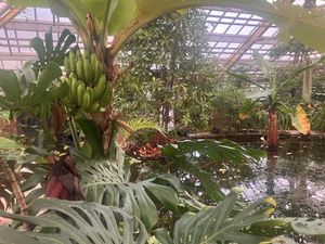   at Hortus Grand Cafe in Leiden