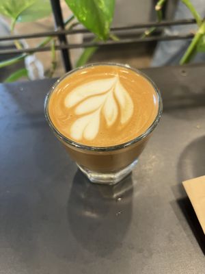 Cortado with oat milk  at Vigilante Coffee in College Park
