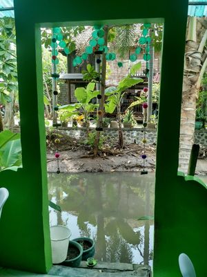 back seating at Akar Cafe in Lovina