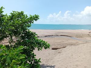 Our beach at Veg House Sokhumi - ВегЪ Дом Сухум in Sokhumi