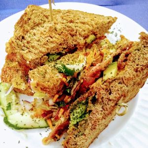  at TerraZen Centre in Amsterdam