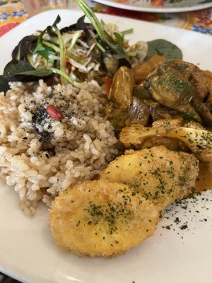   at TerraZen Centre in Amsterdam