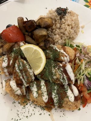   at TerraZen Centre in Amsterdam