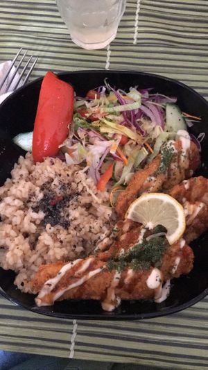   at TerraZen Centre in Amsterdam