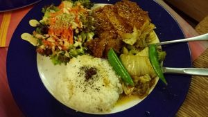 vegan plate at TerraZen Centre in Amsterdam