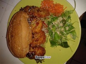 Vegan burgers
 at TerraZen Centre in Amsterdam