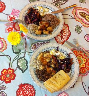 amazing homemade plates with vegan 'chicken', tofu, azuki beans, 'roti' (sort of pancakes), tempeh, brown rice and vegetables. at TerraZen Centre in Amsterdam