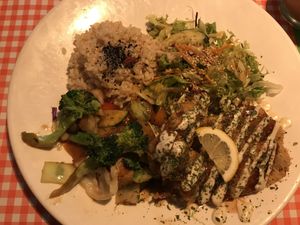 Vegan plate  at TerraZen Centre in Amsterdam