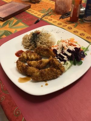 Vegan gyozas at TerraZen Centre in Amsterdam