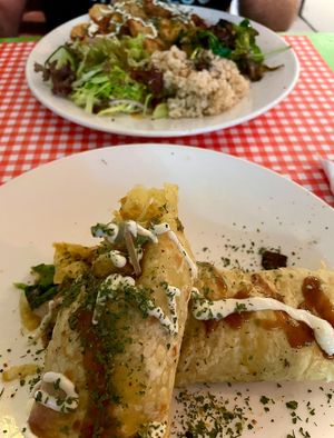   at TerraZen Centre in Amsterdam