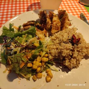 Gyoza plate at TerraZen Centre in Amsterdam