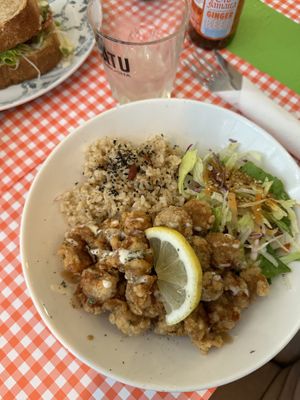   at TerraZen Centre in Amsterdam