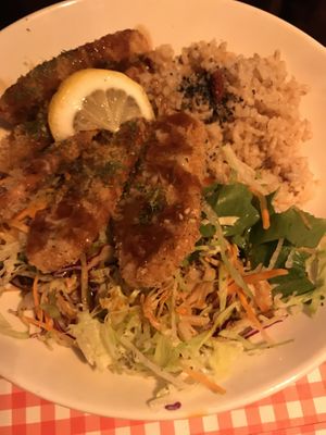   at TerraZen Centre in Amsterdam