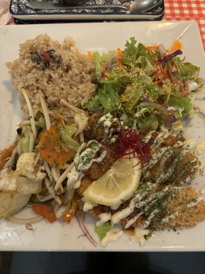   at TerraZen Centre in Amsterdam