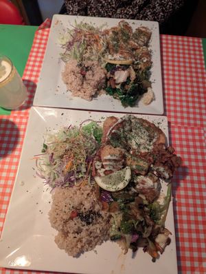  at TerraZen Centre in Amsterdam