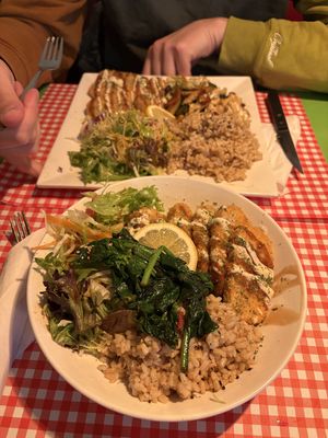   at TerraZen Centre in Amsterdam