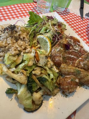   at TerraZen Centre in Amsterdam