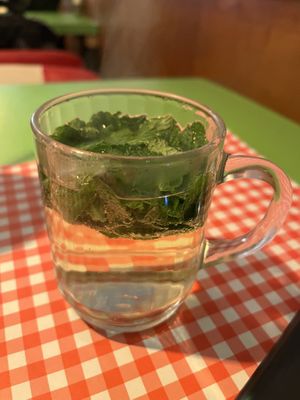 Fresh mint tea  at TerraZen Centre in Amsterdam