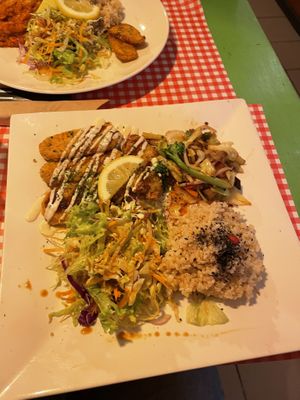   at TerraZen Centre in Amsterdam