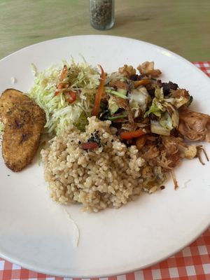 Saltfish  at TerraZen Centre in Amsterdam