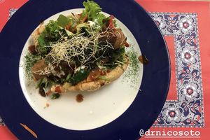 Non dog at TerraZen Centre in Amsterdam