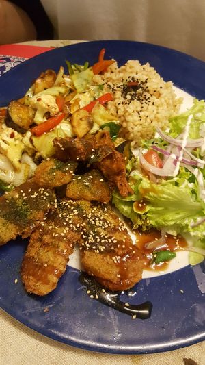 Vegan plate. Soy based chicken nuggets, chicken strips, rice, stir fried veggies at TerraZen Centre in Amsterdam