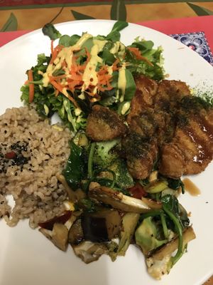 vegan plate €16 at TerraZen Centre in Amsterdam