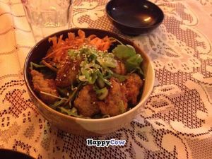 Vegan chicken katsu bowl at TerraZen Centre in Amsterdam