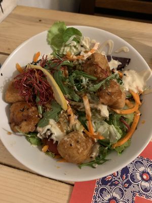 Donburi Karage- very fatty- no flavour but fat- very expensive  at TerraZen Centre in Amsterdam